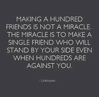 Making hundren friends or one friend